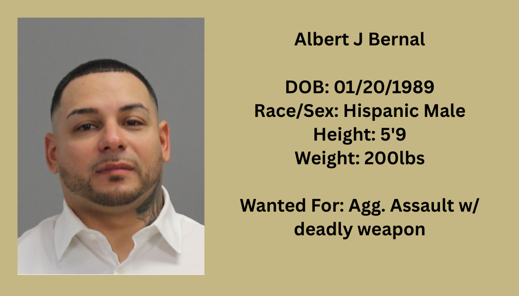 Most Wanted Poster Template (54).png