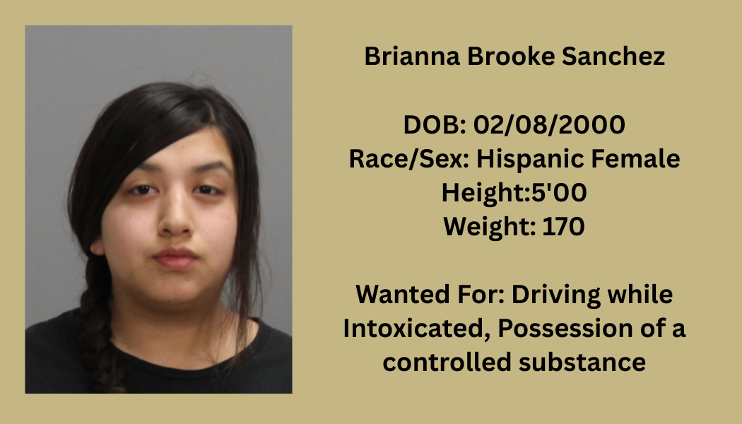 Most Wanted Poster Template (10).png