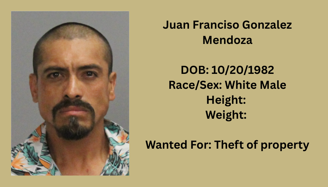 Most Wanted Poster Template (55).png