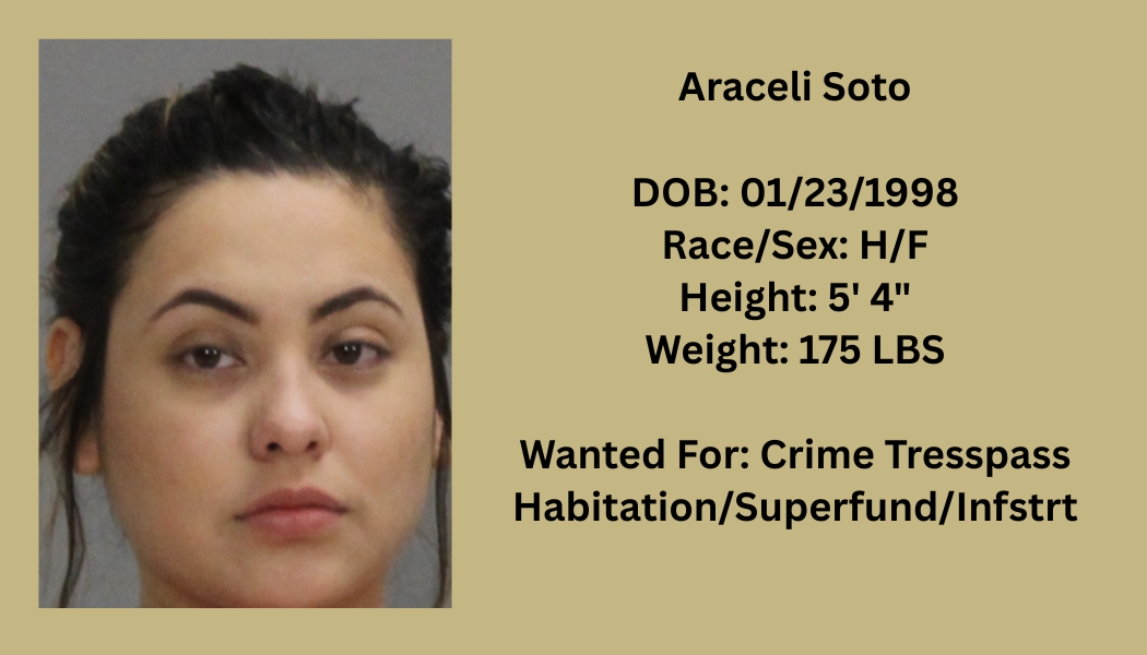 Most Wanted Poster Template.png