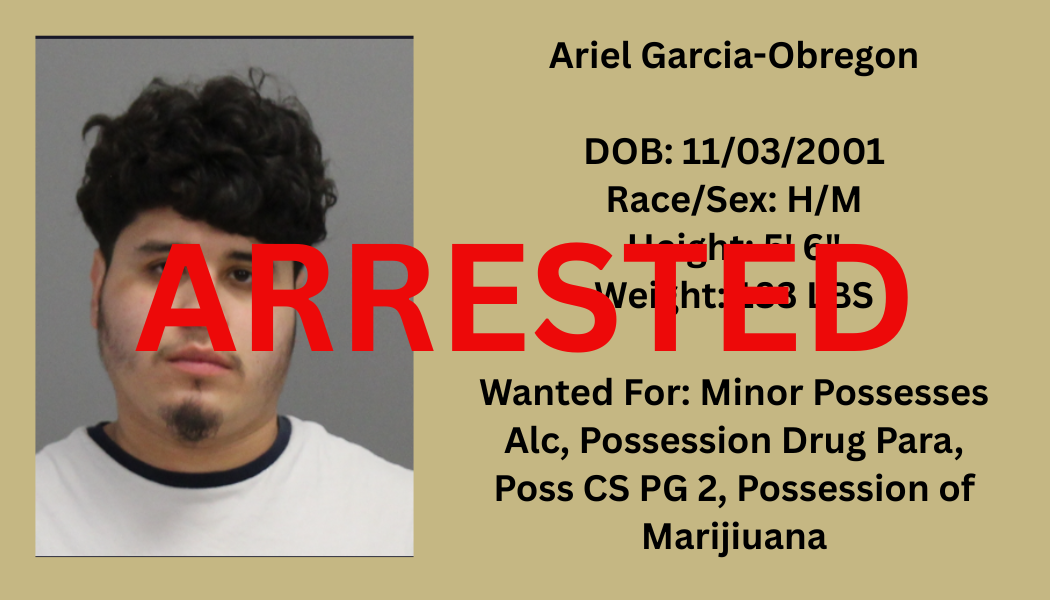 Most Wanted Poster Template (80).png