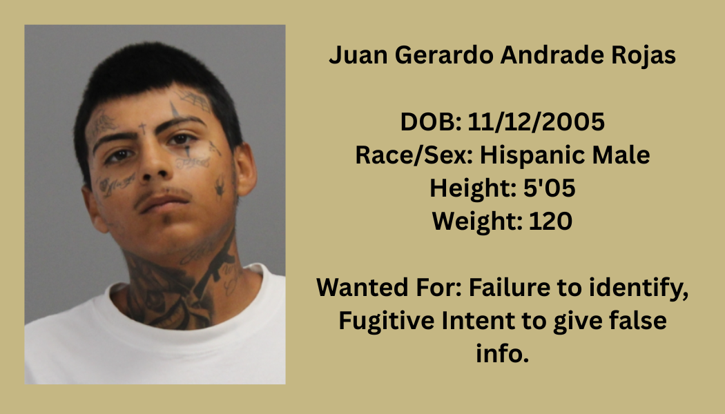 Most Wanted Poster Template (2).png