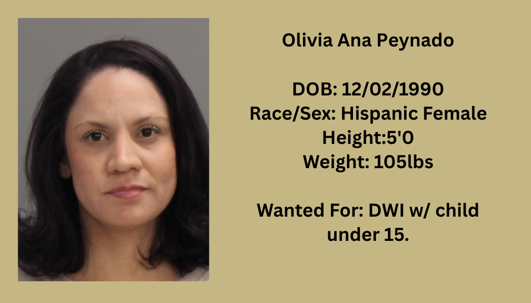 Most Wanted Poster Template (14).png