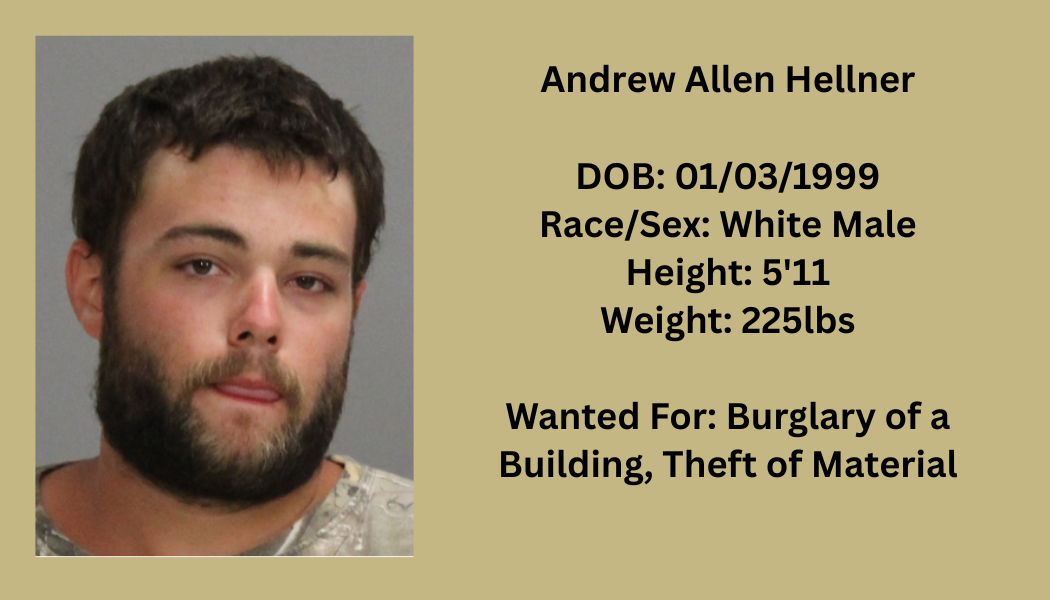 Most Wanted Poster Template (6).png