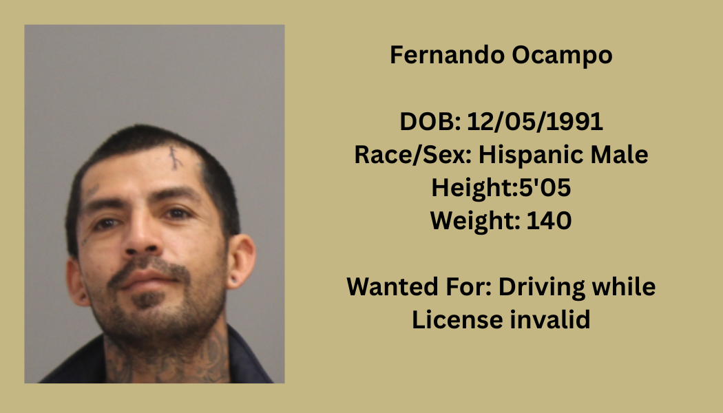 Most Wanted Poster Template (26).png
