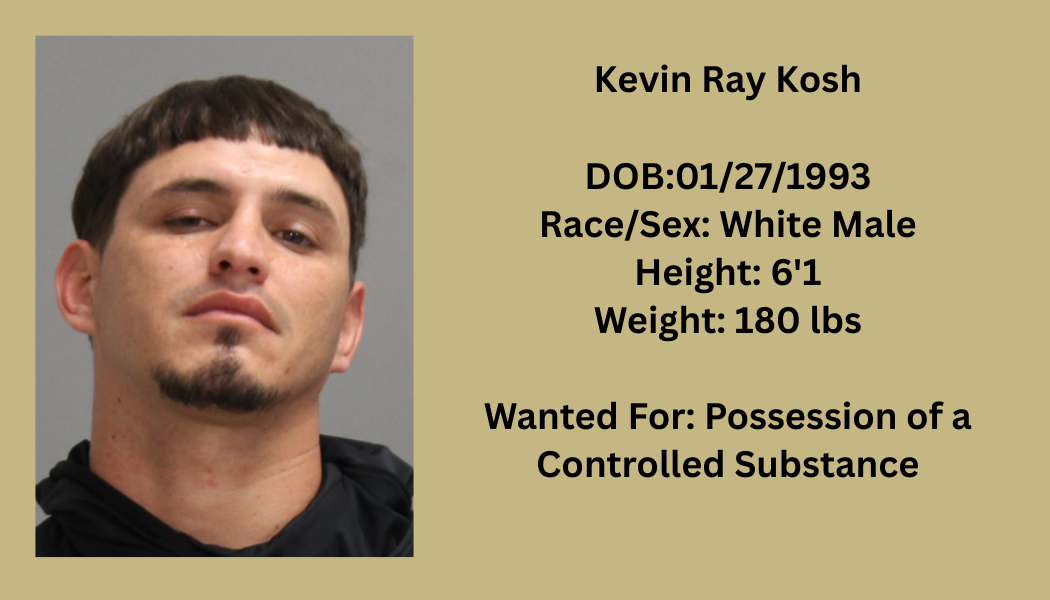 Most Wanted Poster Template (8).png