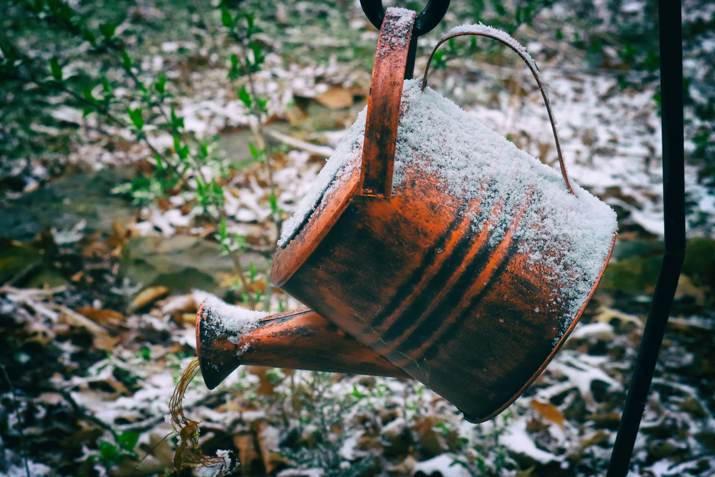 SnowCan.JPG
