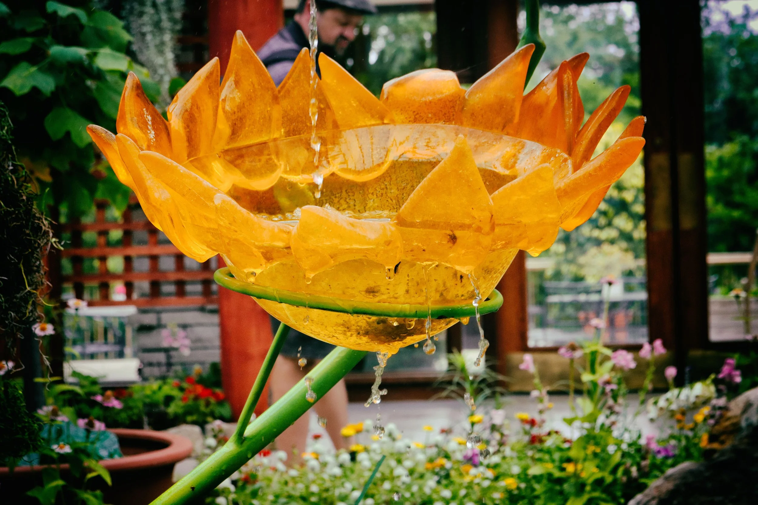 Glass Flower 2.JPG