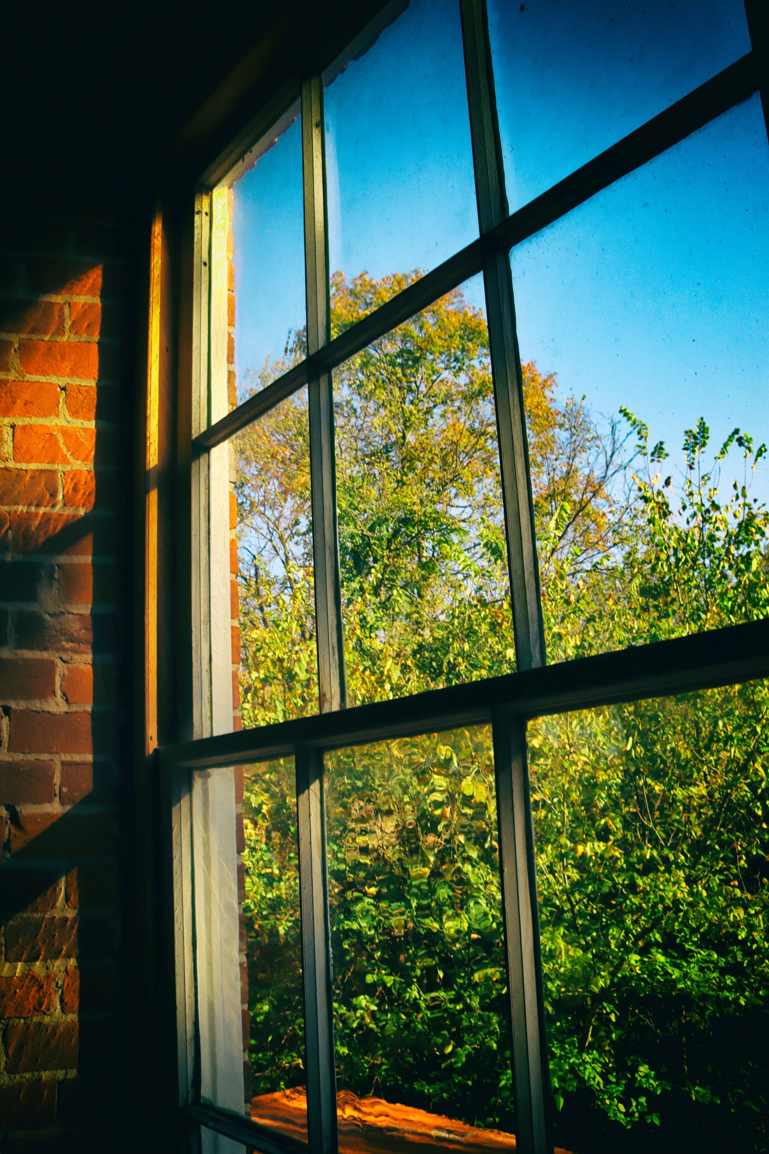 Window4Vivid.JPG