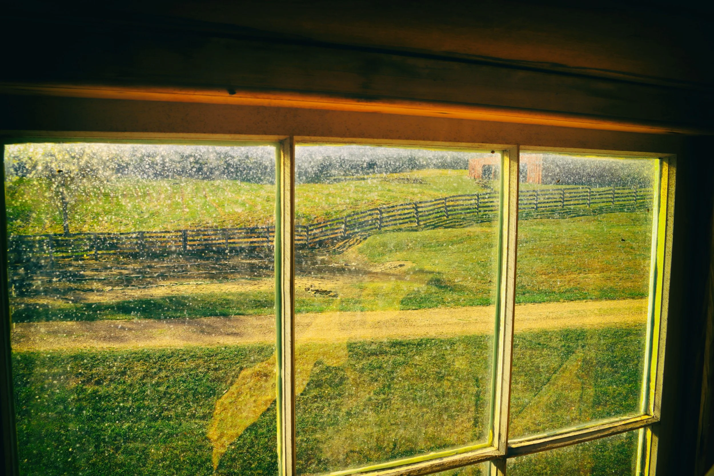 Window5.JPG