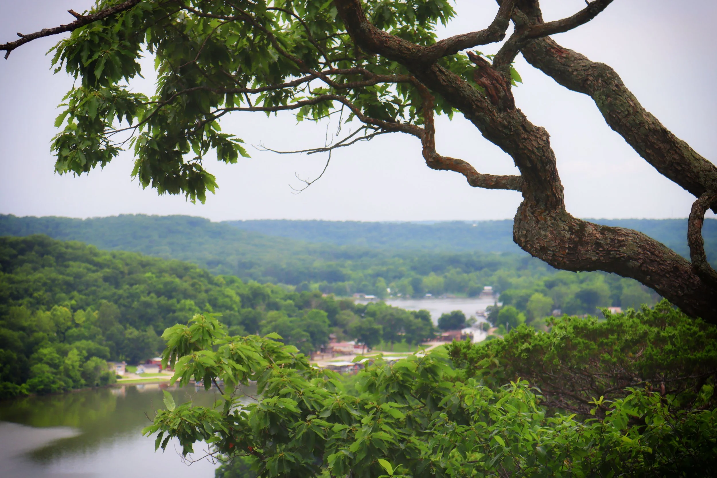 RiverAbove.JPG