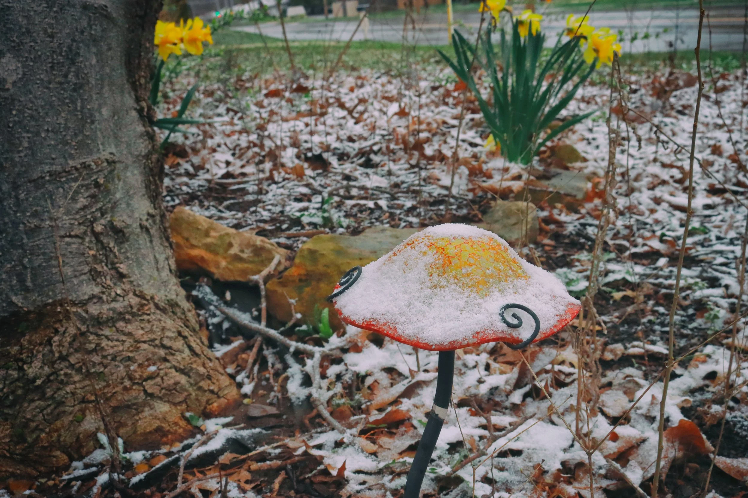 snowmushie.JPG