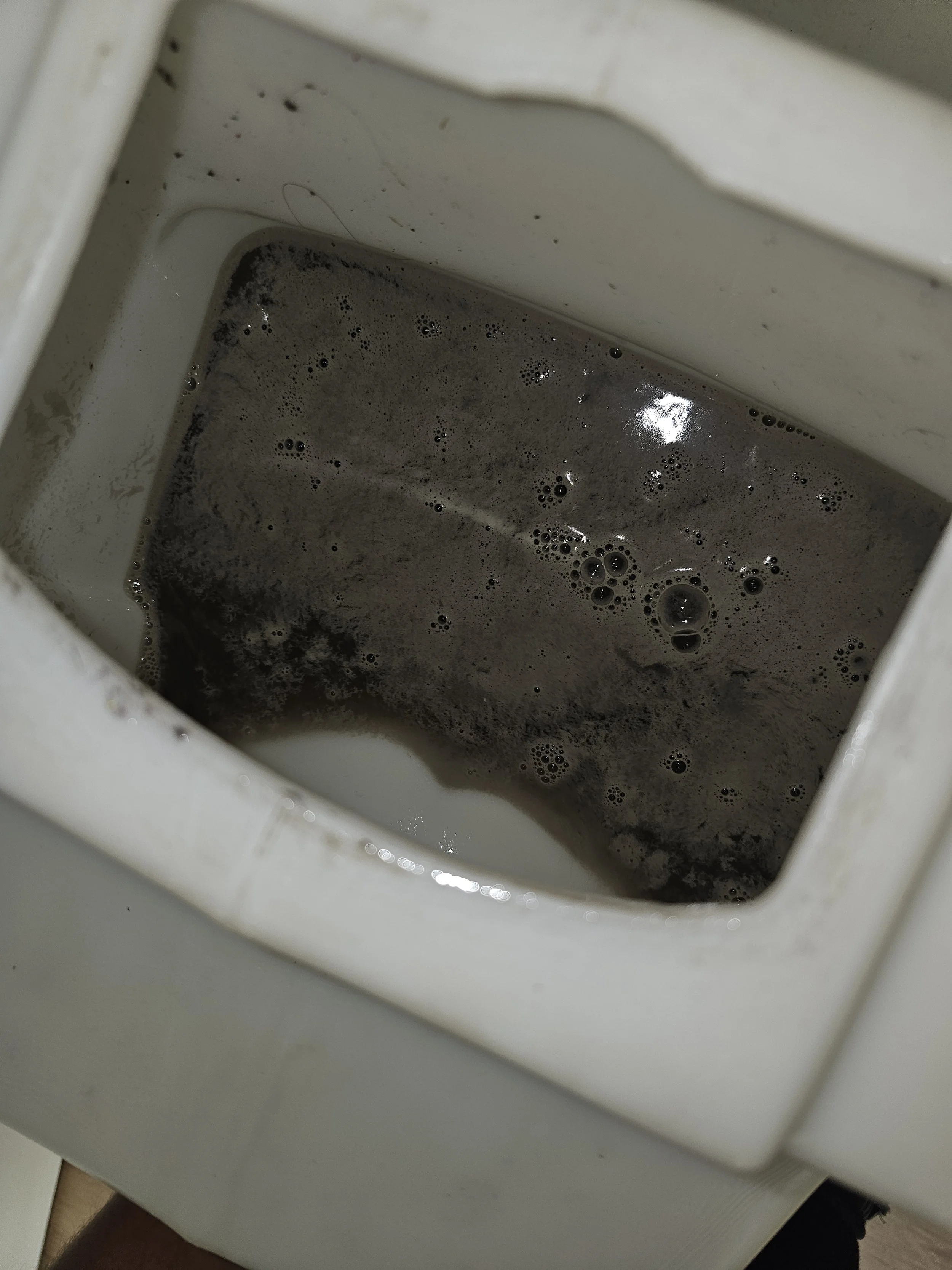 dirty water collected from a deep carpet clean from pristine office solutions in McKinney Texas