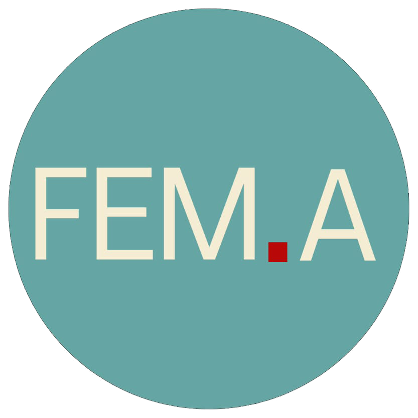 LOGO FEMA