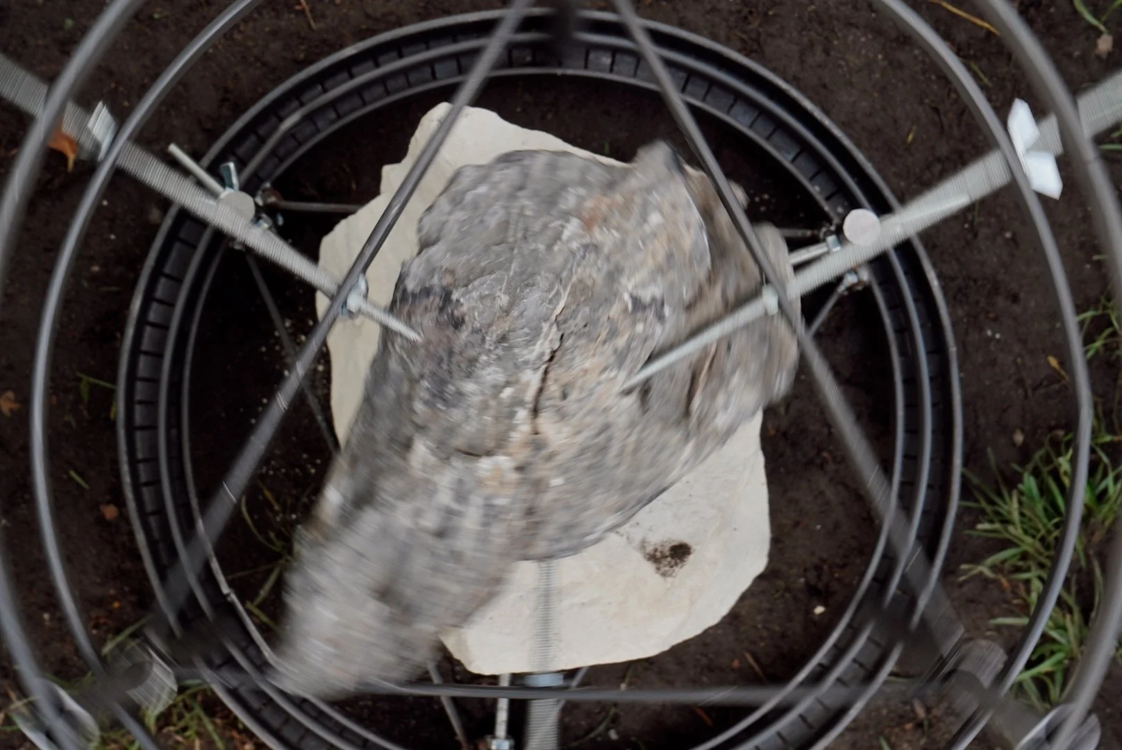 DORSET LANDSCAPE INTERVENTION