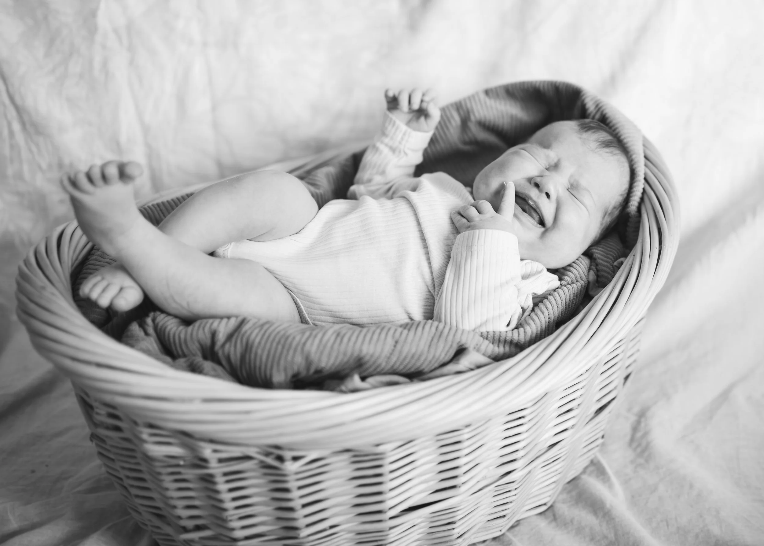 Alina_newborn-4.jpg