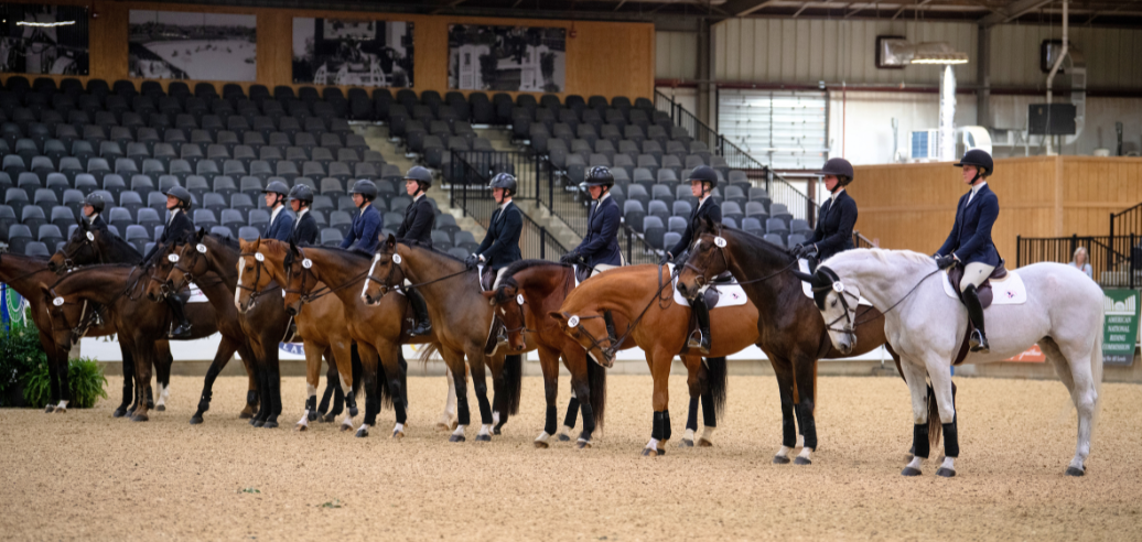 Stewards' Corner Newsletter- March 2025