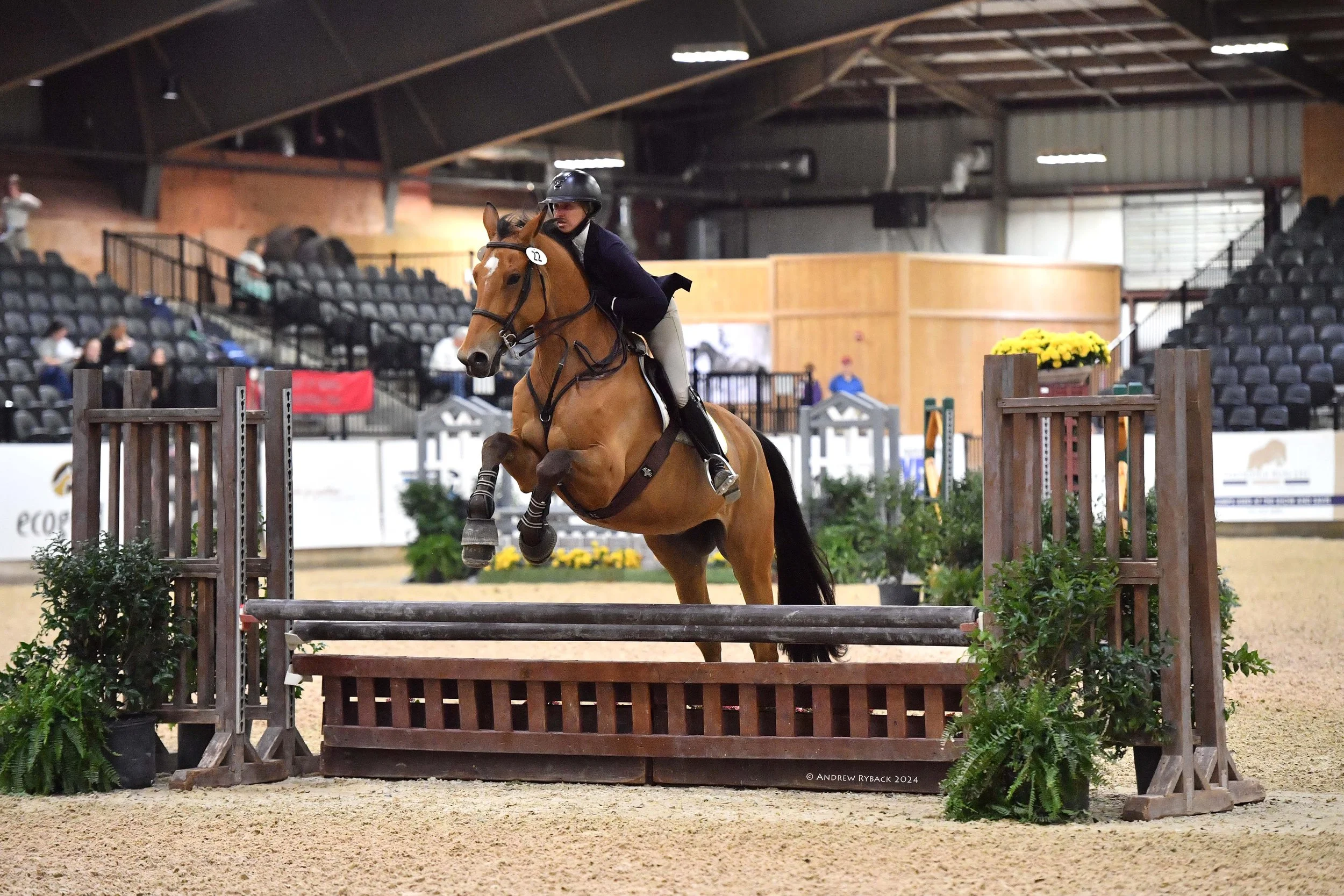 High-Point Rider Competition Heats Up Day Two of the 2024 IHSA National Championship