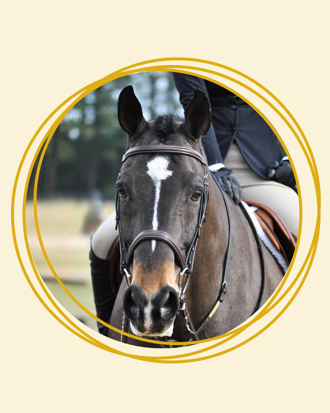 VIrginia Intermont's Monty to be Inducted Into the IHSA Hall of Fame