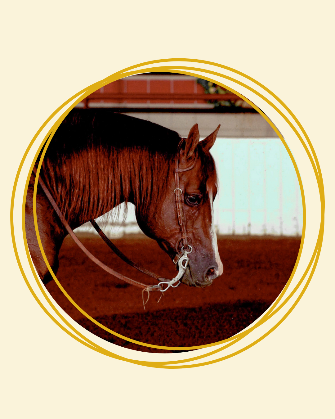 A Champion at Every Level: Colonel Pepenator to be Named to IHSA Hall of Fame