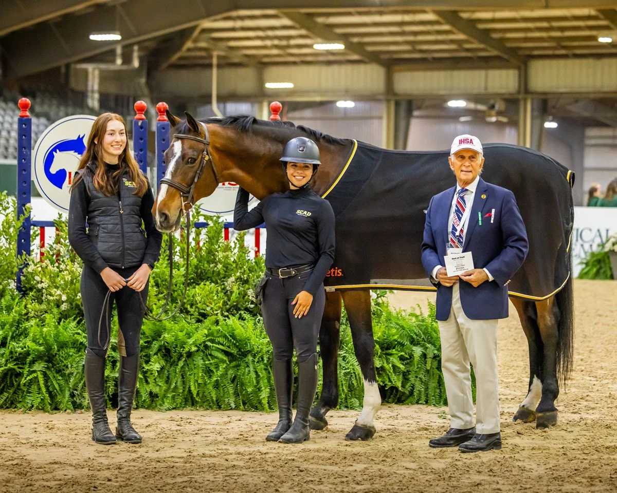 High-Point Horse