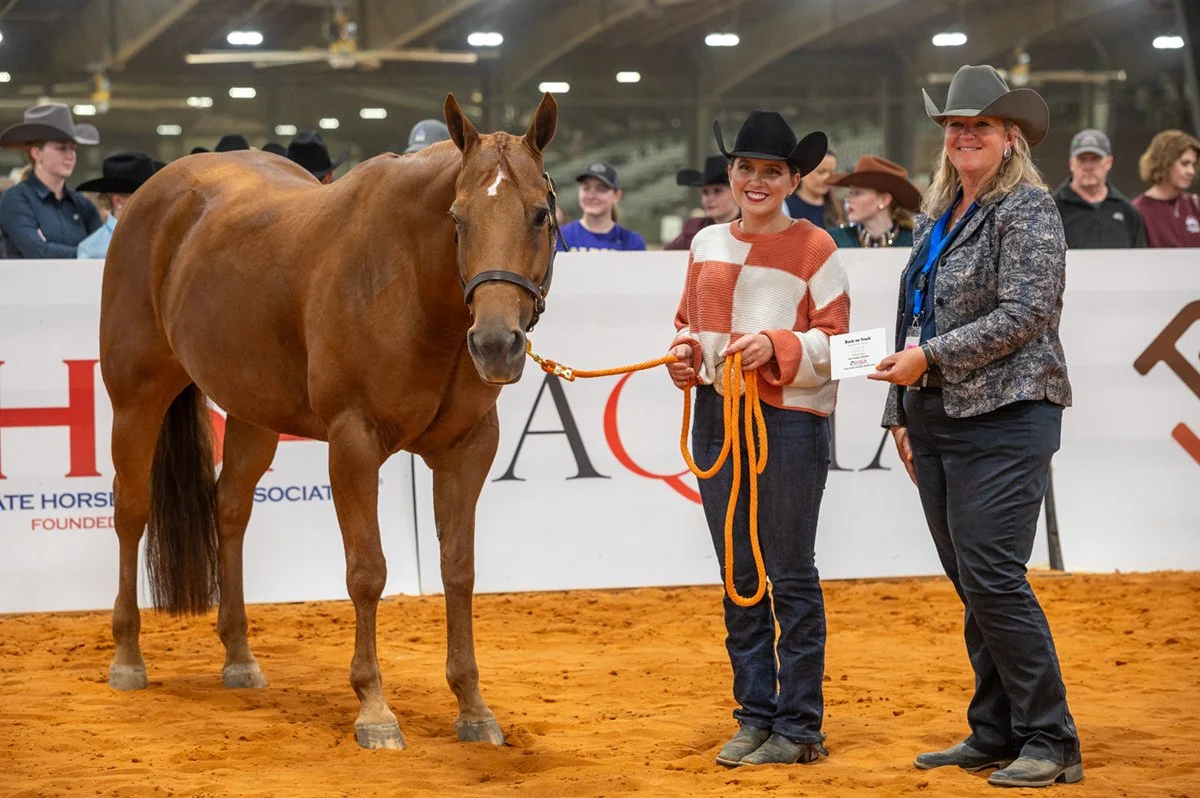 High-Point Horse