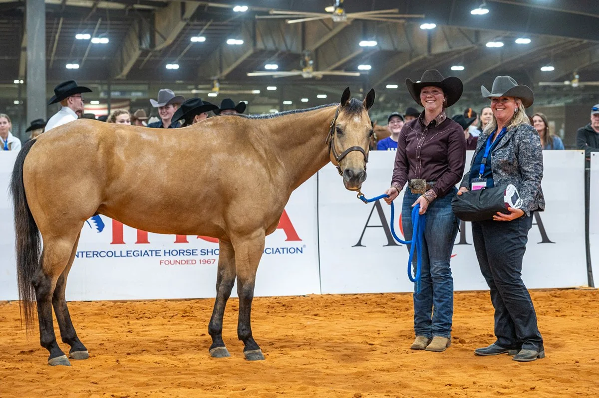 Favorite Horse