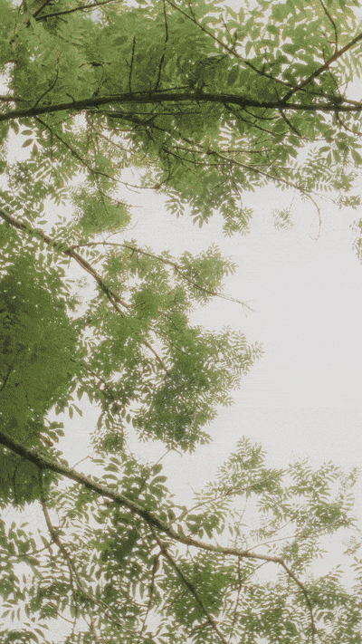 chillidaleku-ezgif.com-optimize.gif