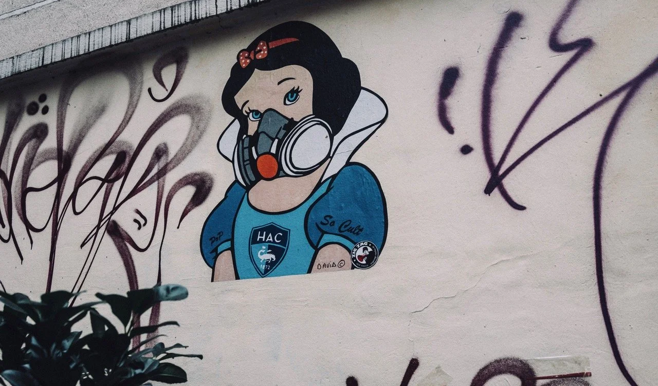 DSC00959.jpeg