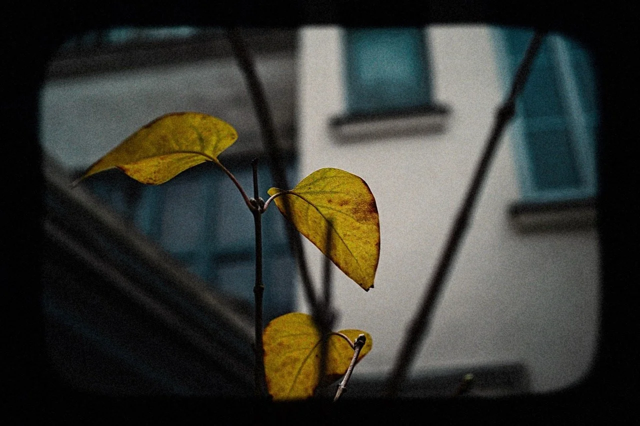 SDIM0291-Exposure (4).jpeg