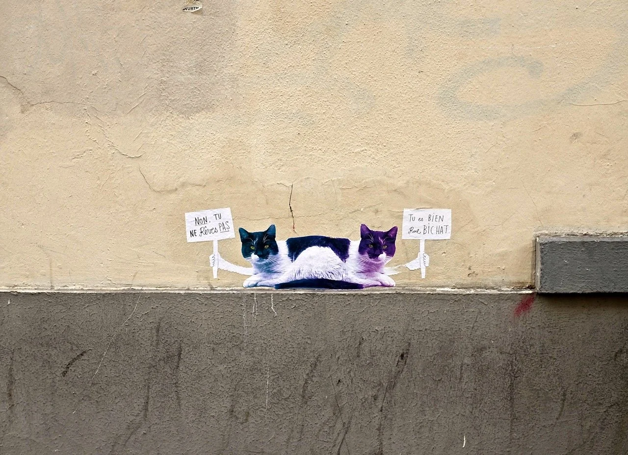 DSCF0751.jpeg