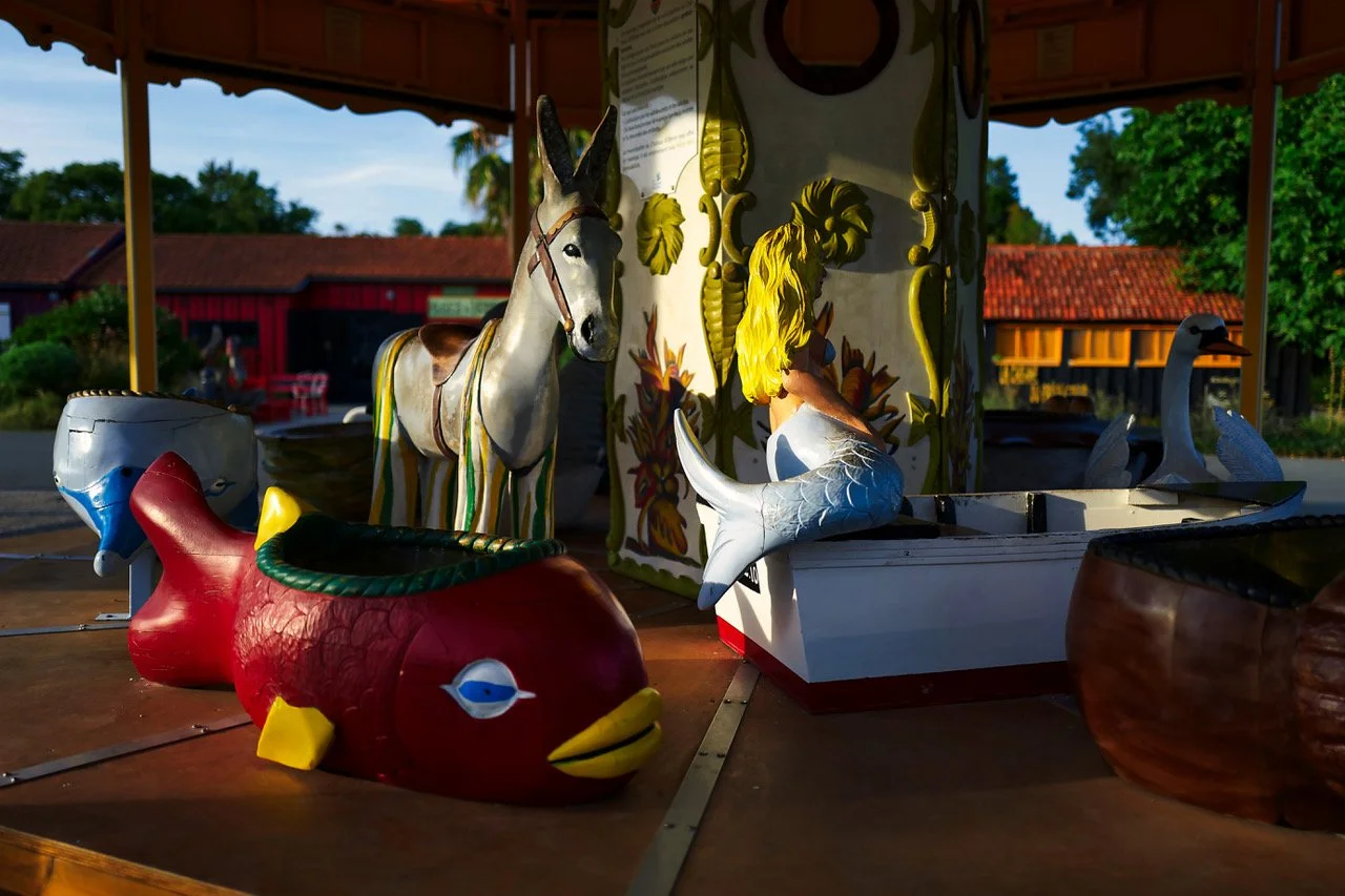 CAROUSSEL.jpeg