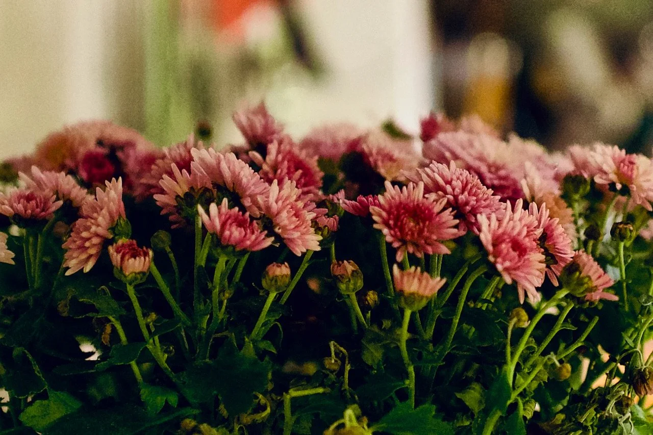 4A722AF0-099D-4F8D-BEA1-99D1666C6278_1_201_a.jpeg