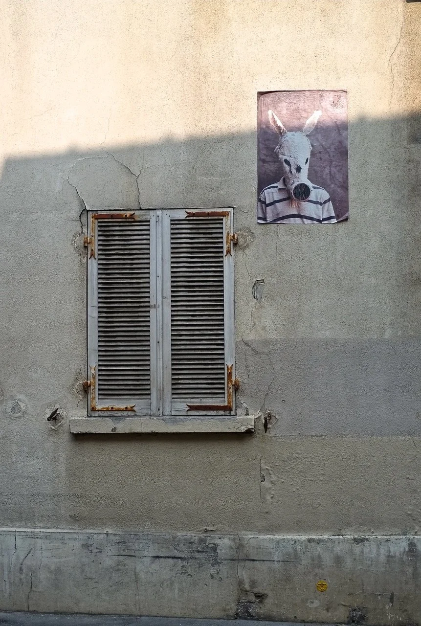 DSCF0174.jpeg