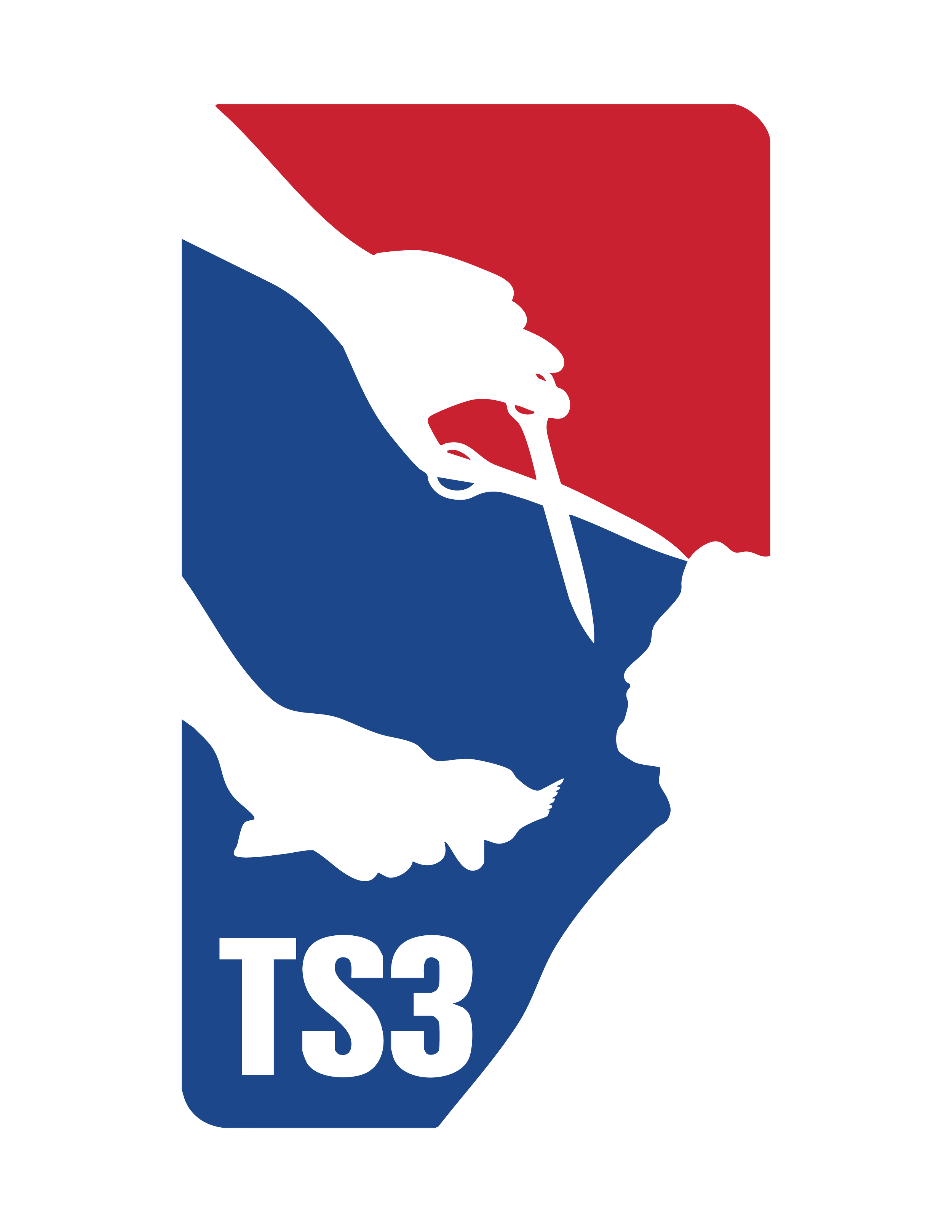 TS3 Logo_color.png