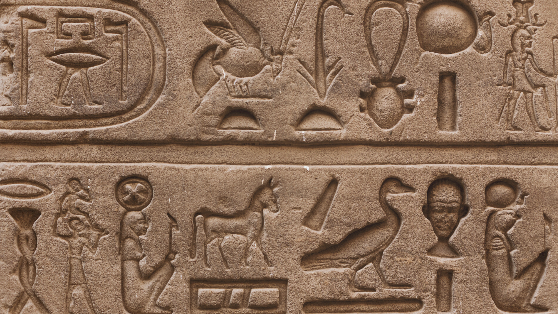 Ancient Egyptian hieroglyphic carvings featuring animals, human figures, and symbols on stone wall.