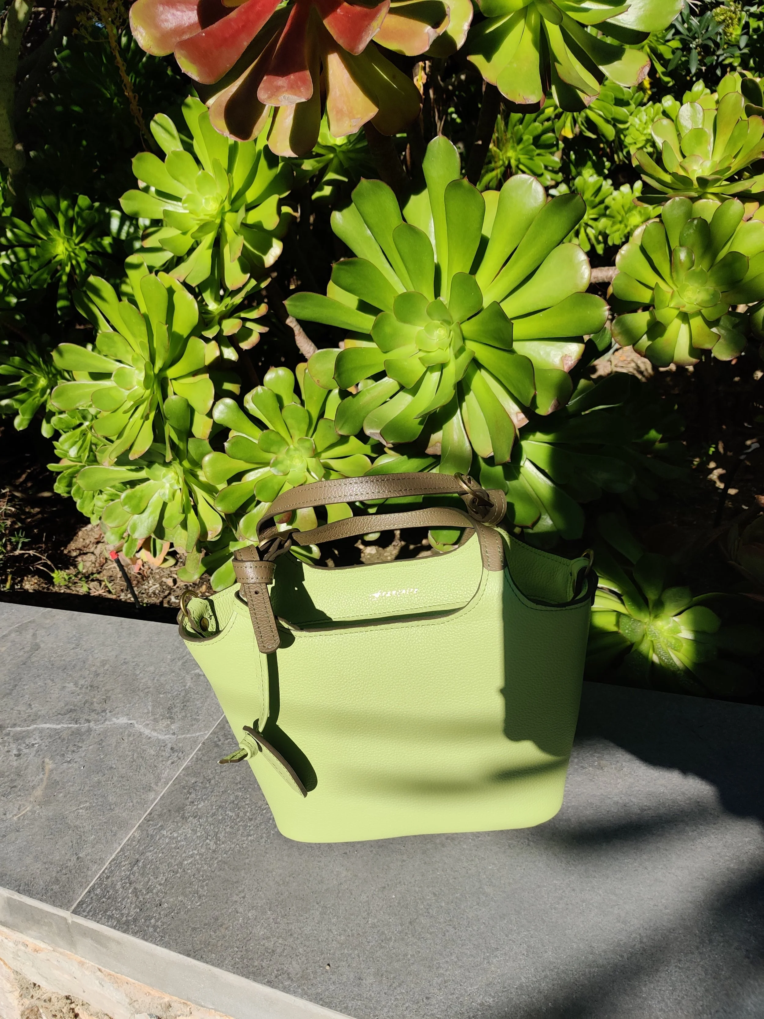 A light green Francoise Noisette leather handbag resting on a dark gray stone surface outdoors, with green succulents and plants in the background.