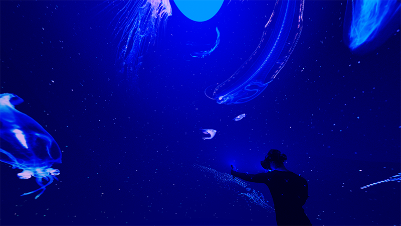 Interior 007_800.png