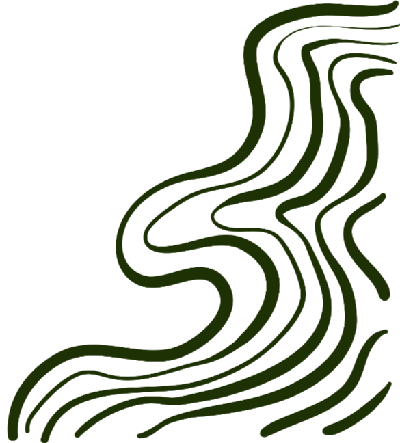 A graphic of dark green contour lines.