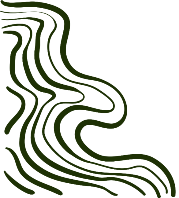 A graphic of dark green contour lines.