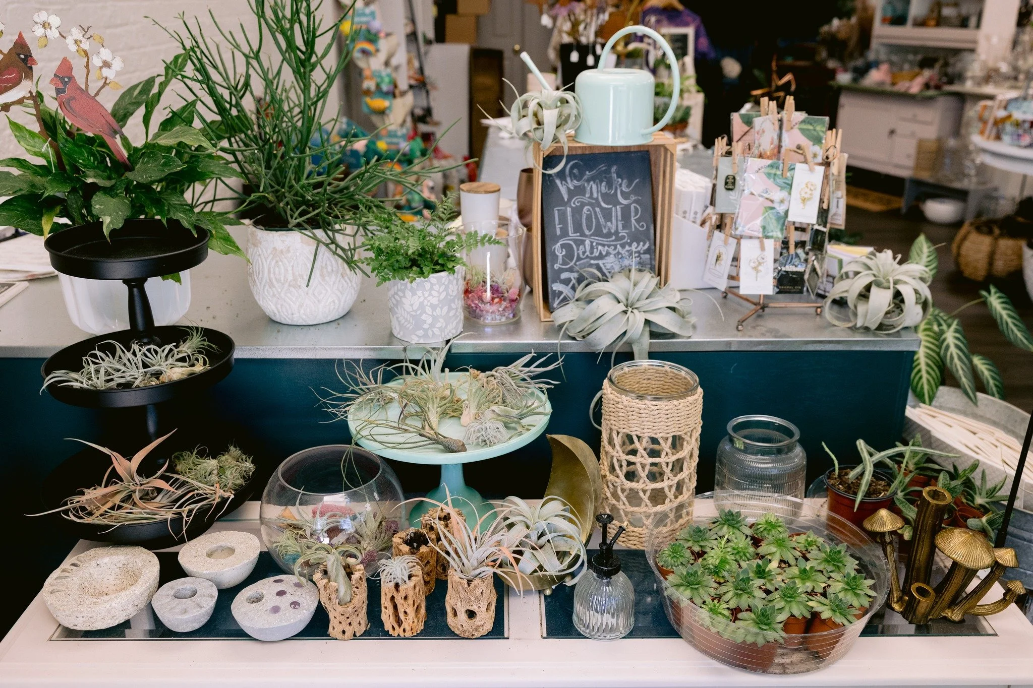 We love air plants and the versatility they bring to make a fun display in your home. We've had a new shipment come in and would love for you to stop by and refresh your tabletop decor.