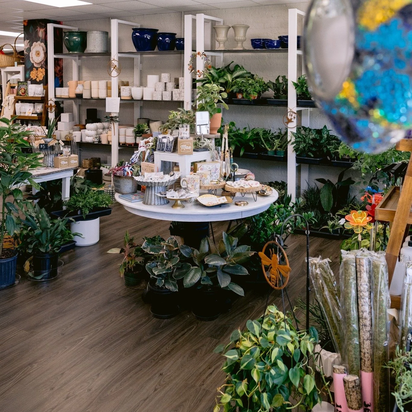 We have way more at the shop than just flowers. We moved locations in April of 2024 to the opposite end of Burke Street. We have had lots of people think that we "closed" but we are still open Wed thru Fri 11-5 and Sat 11-4. Stop in and see