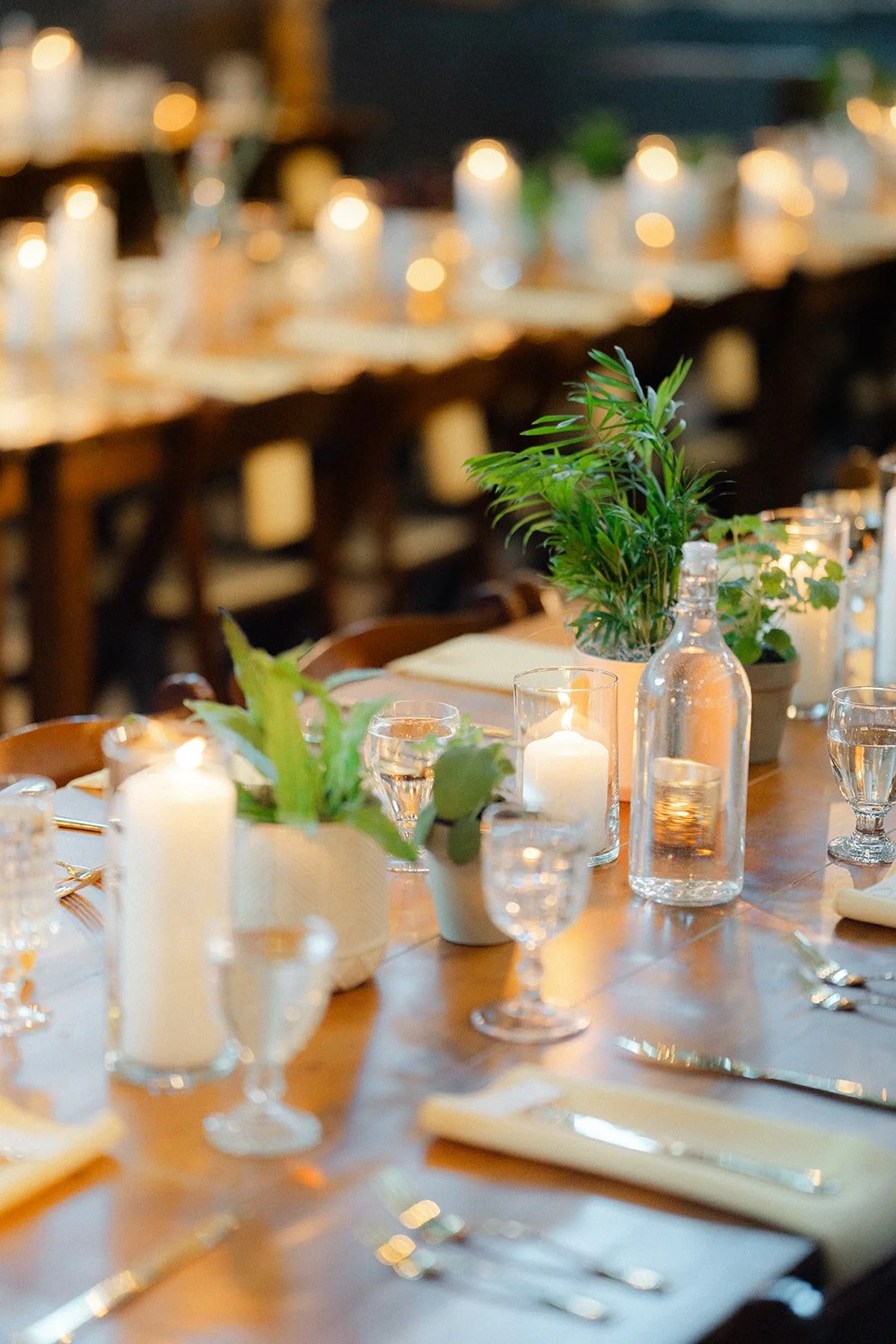 A decorated dining table with candles and green plants in a cozy, dimly lit setting.