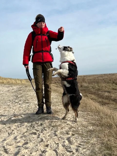 bora springt naar brokje.jpeg