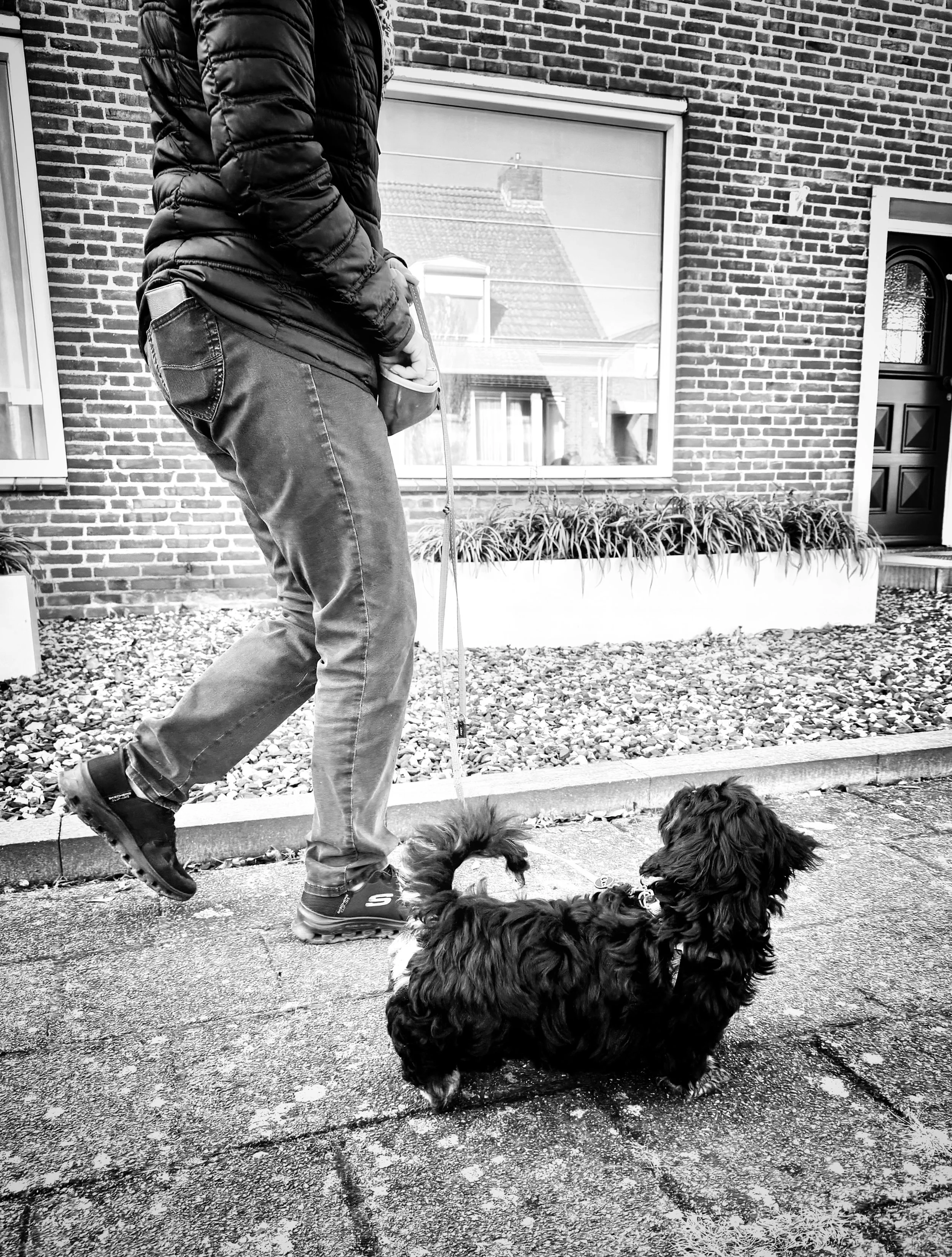 wandelen pup.JPG