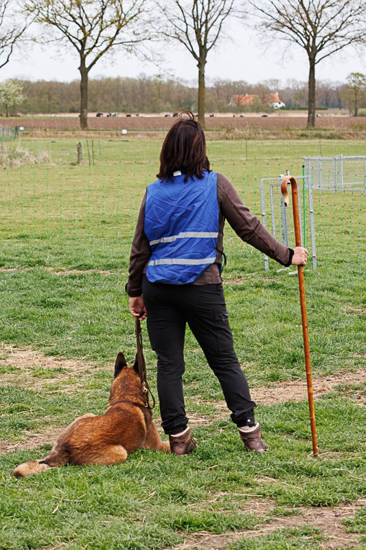 Wedstrijd 12 april 2026