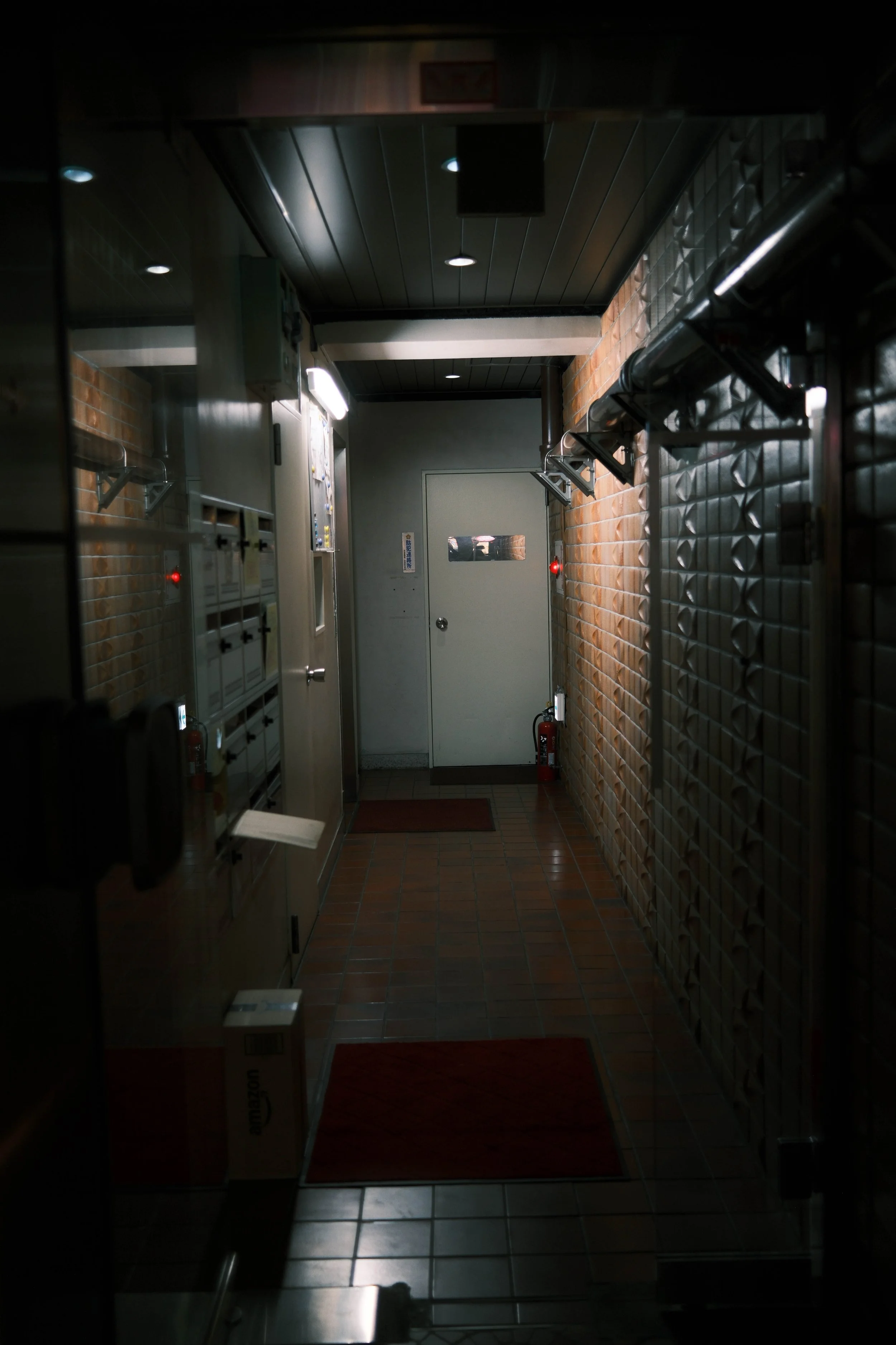 DSCF3595.jpg