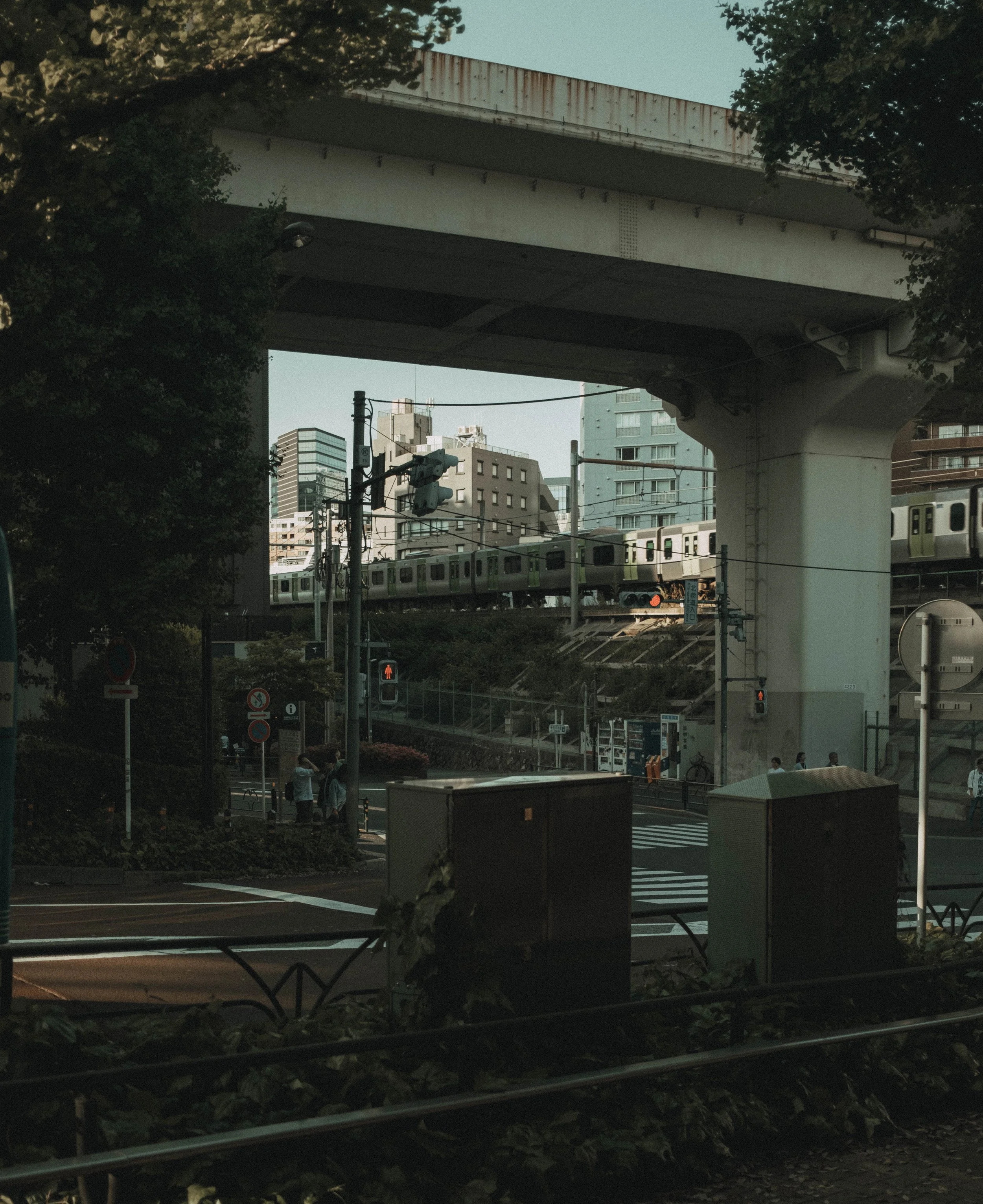 DSCF0884.jpg