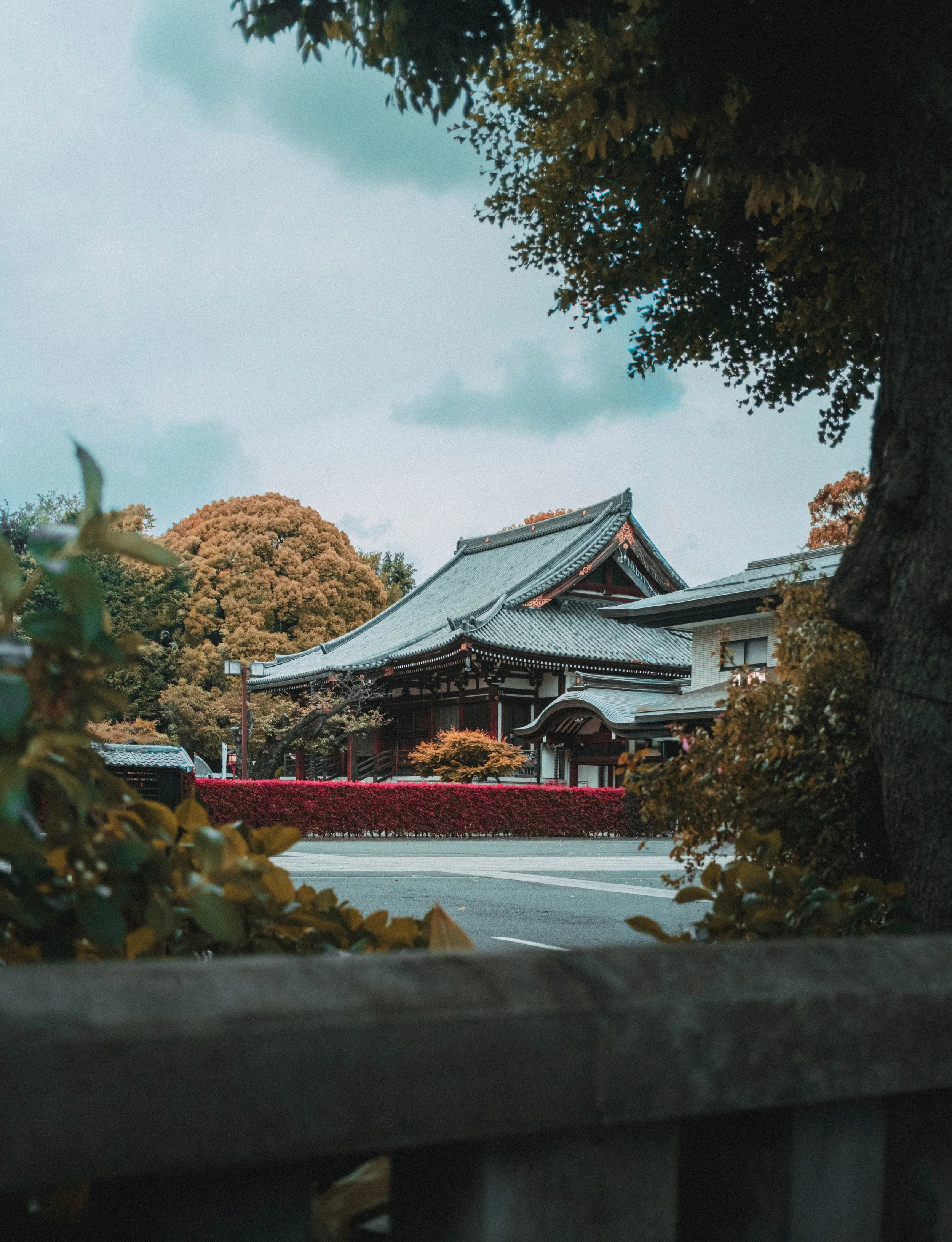 DSCF1109.jpg