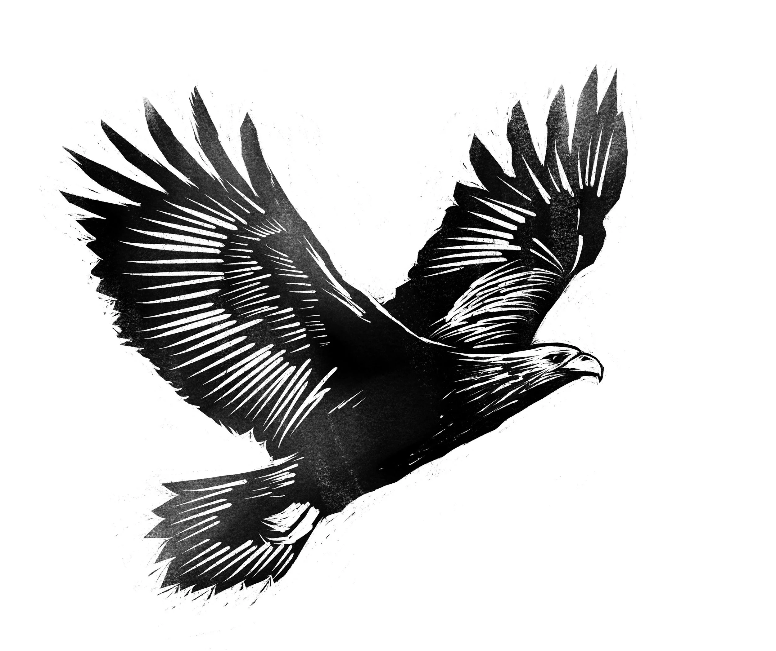 A black and white illustration of an eagle in flight